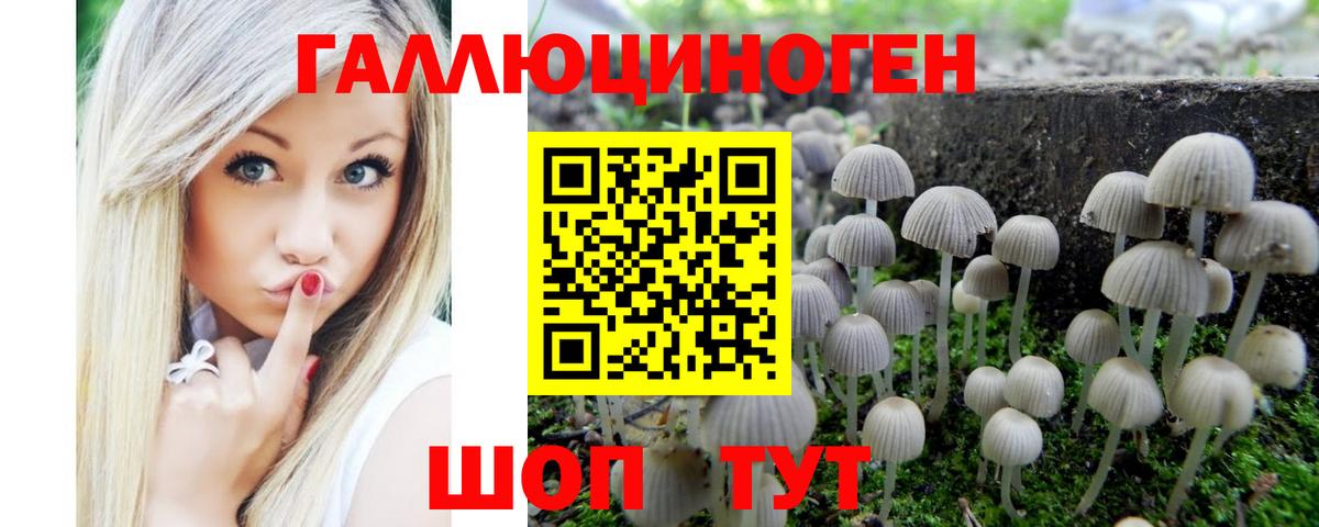 Галлюциногенные грибы Psilocybine cubensis Вязьма