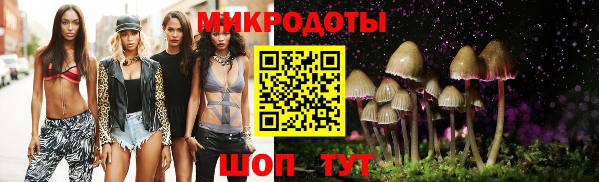 Вязьма  Псилоцибиновые грибы Psilocybine cubensis  Вход с VPN 