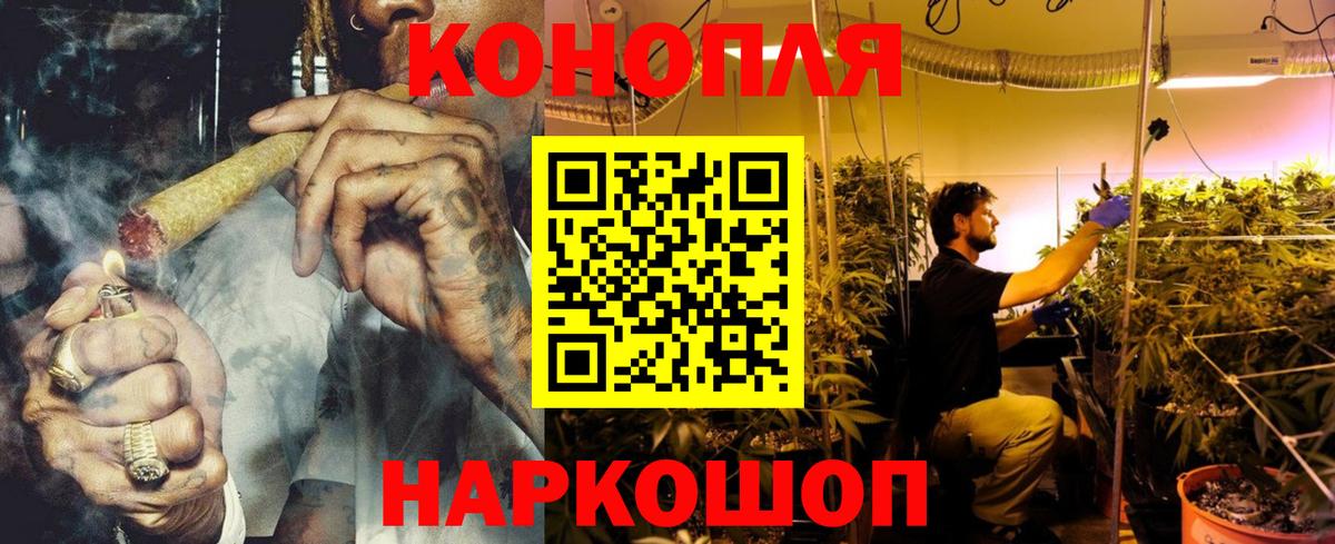 Шишки марихуана сатива  Вход с VPN  Вязьма  Бошки марихуана Amnesia  Каннабис Bruce Banner 